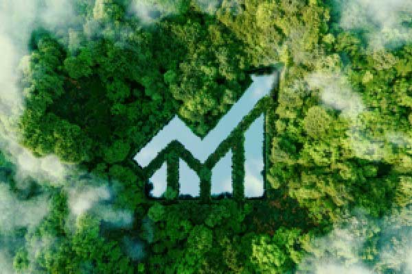黄金股再度演绎涨停潮：挖掘低位金矿资源股